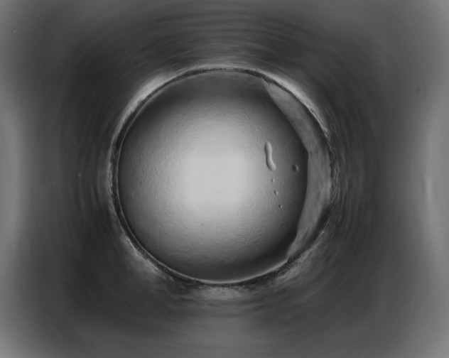 X0000086740998200704131125