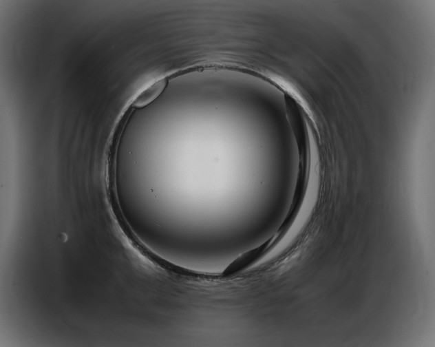 X0000086740999200704131125