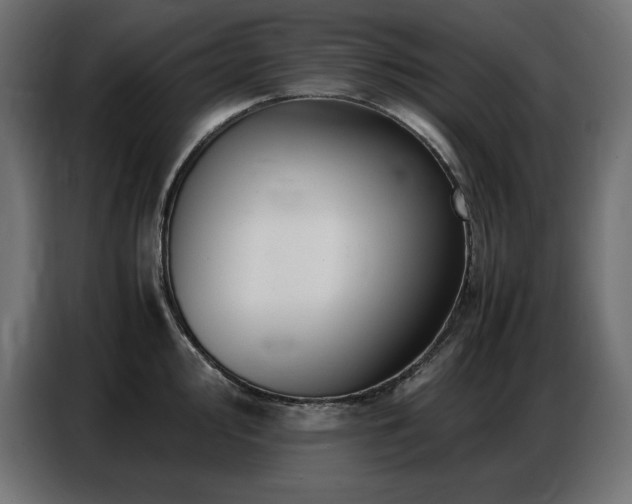X0000086741000200704131125
