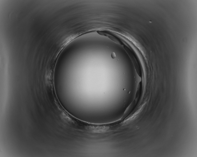 X0000086741001200704131125