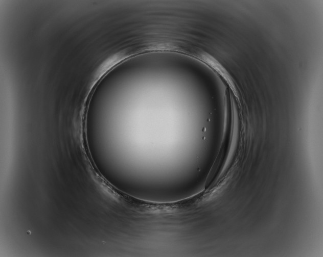 X0000086741002200704131125