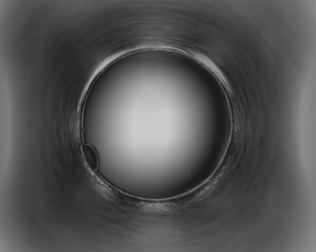 X0000086741004200704131124