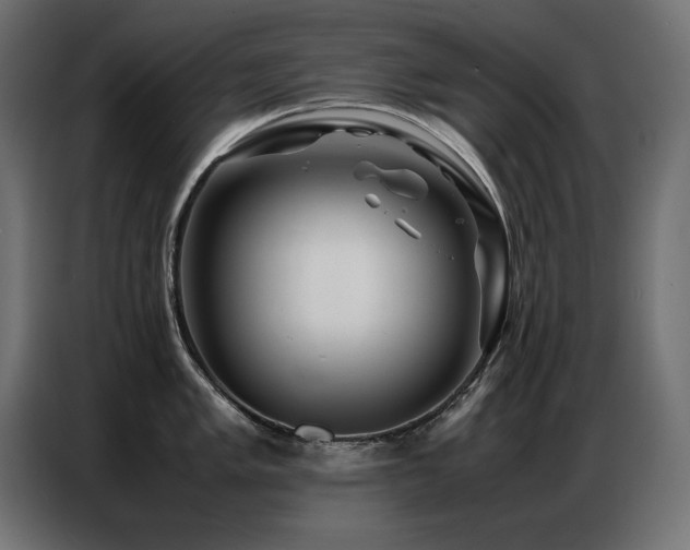 X0000086741005200704131124