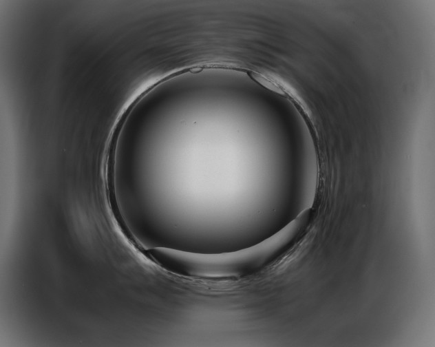 X0000086741007200704131124