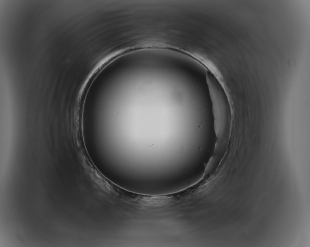 X0000086741008200704131124