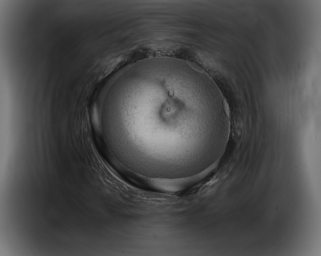 X0000086741010200704131124