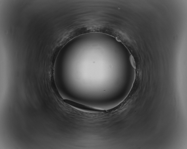 X0000086741012200704131124