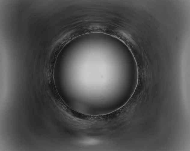X0000086741015200704131124