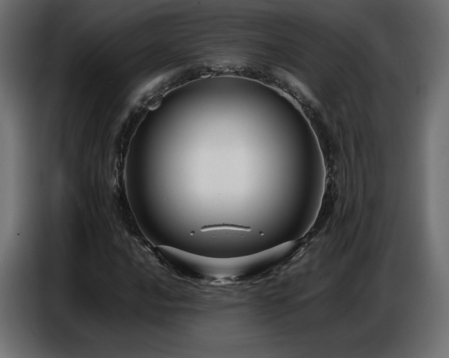 X0000086741016200704131124