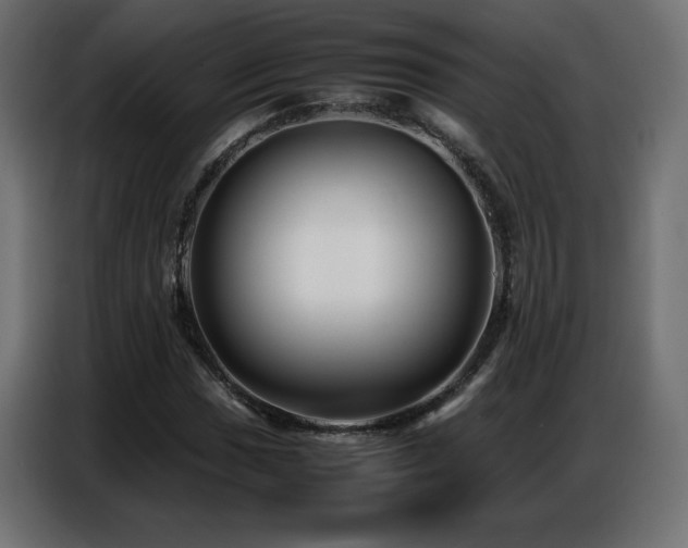 X0000086741017200704131124