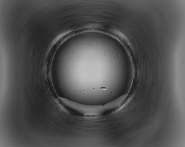 X0000086741019200704131124