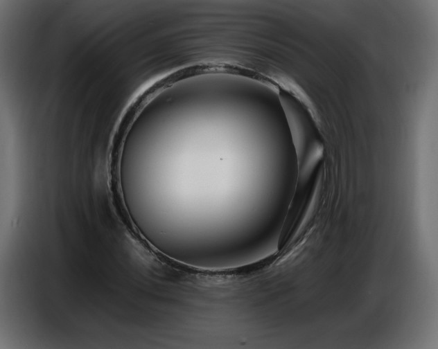 X0000086741020200704131124