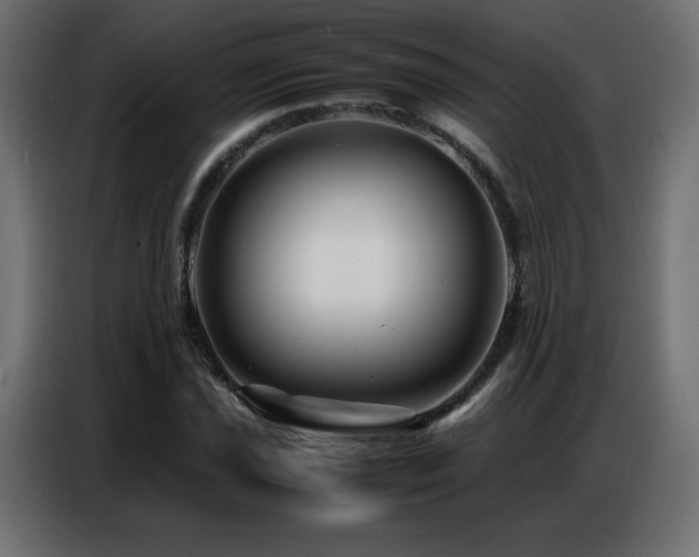 X0000086741021200704131124