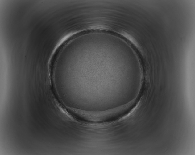 X0000086741022200704131124