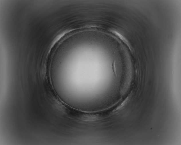 X0000086741023200704131124