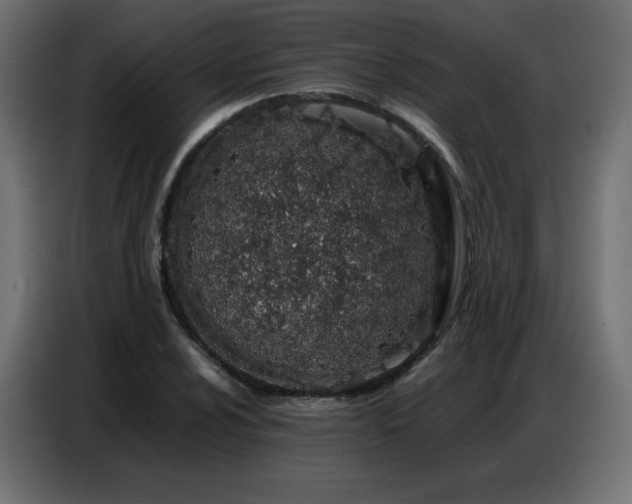 X0000086741024200704131124