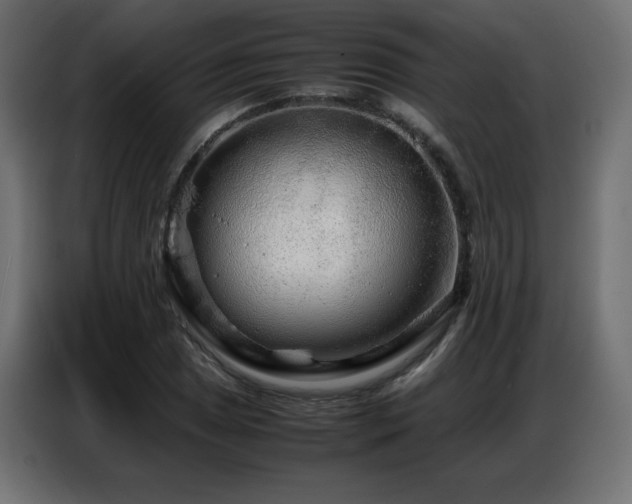 X0000086741025200704131124
