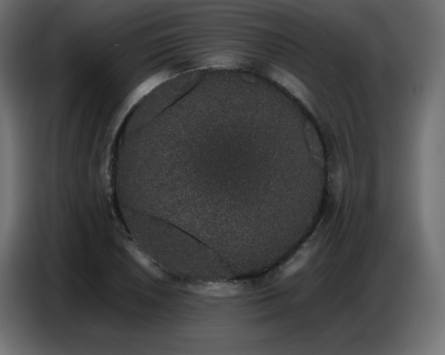 X0000086741026200704131124