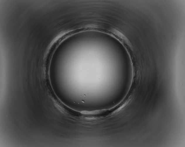 X0000086741027200704131124