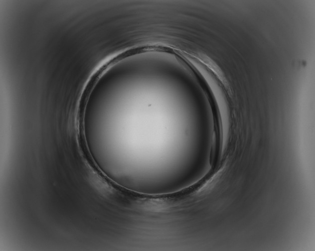 X0000086741028200704131124