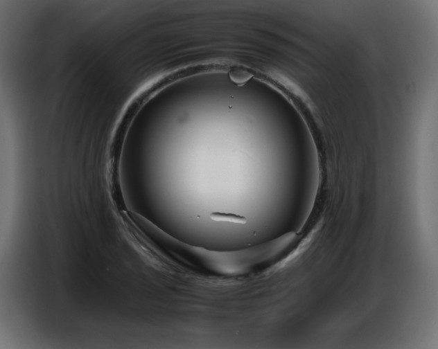 X0000086741029200704131124