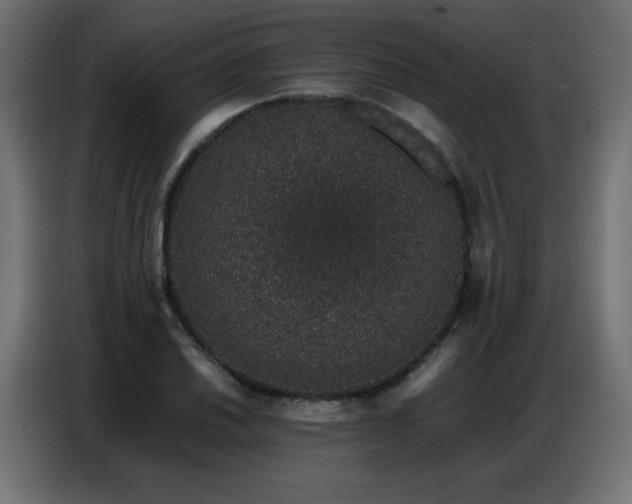 X0000086741030200704131124