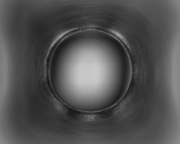 X0000086741031200704131124
