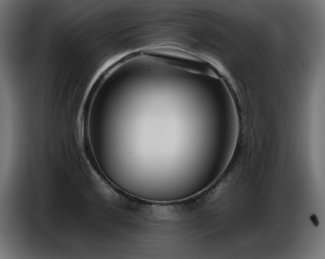 X0000086741032200704131124