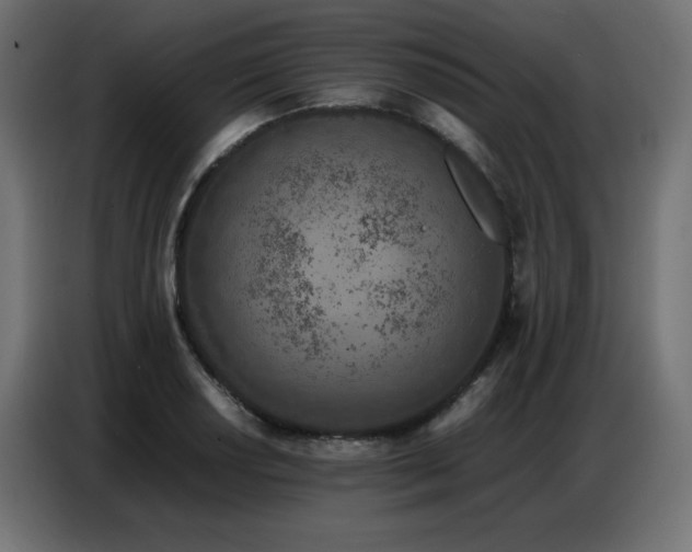 X0000086741034200704131124