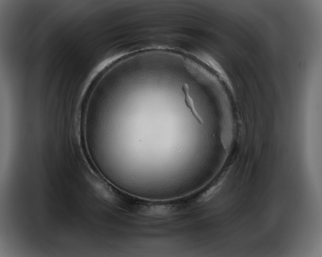 X0000086741035200704131124