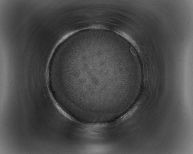 X0000086741037200704131124