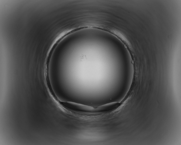 X0000086741040200704131124