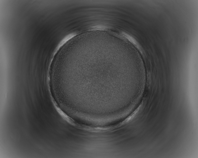 X0000086741042200704131124
