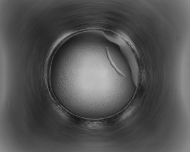 X0000086741043200704131124