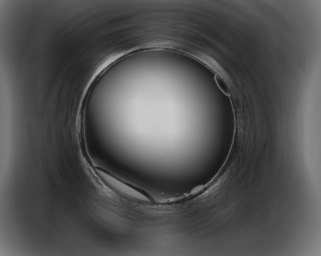 X0000086741044200704131124