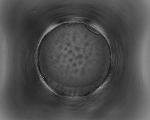 X0000086741045200704131124