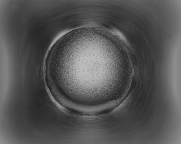 X0000086741046200704131124
