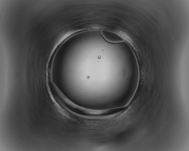 X0000086741047200704131124