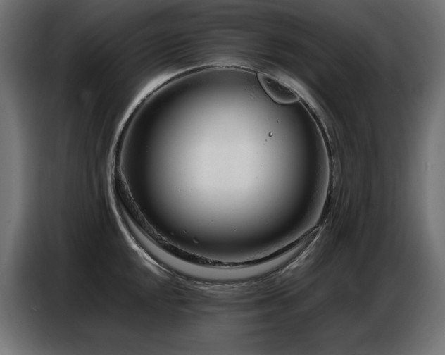 X0000086741048200704131124