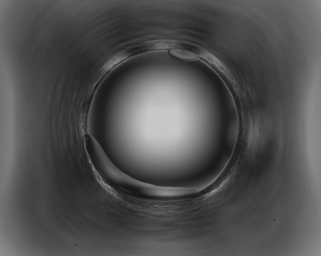X0000086741049200704131124