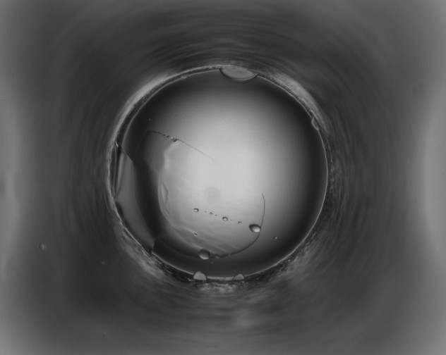 X0000086741051200704131124