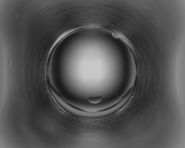 X0000086741052200704131124