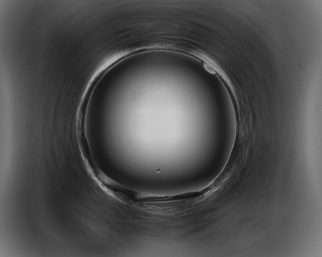 X0000086741053200704131124