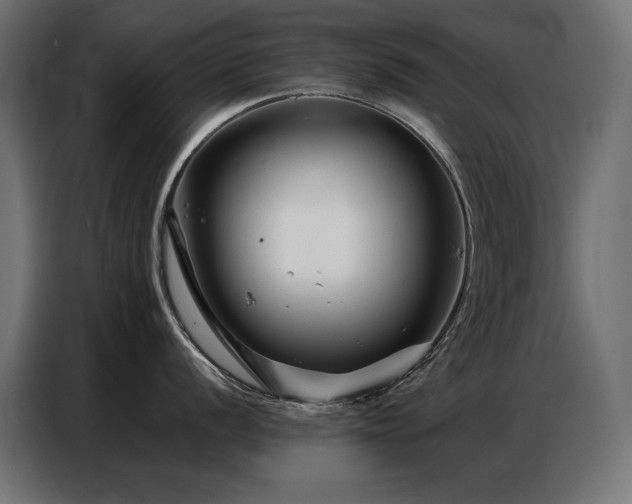 X0000086741056200704131124