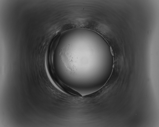 X0000086741058200704131124