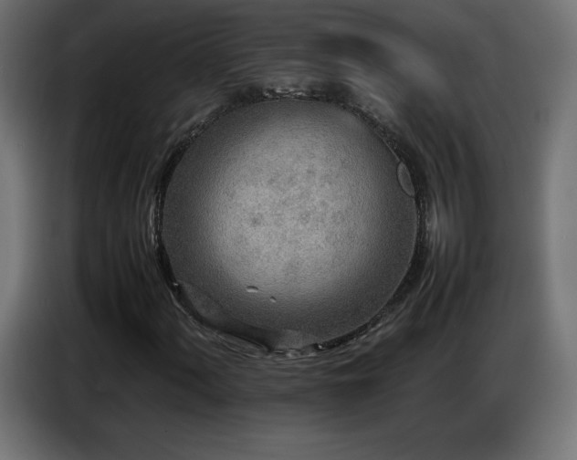X0000086741060200704131124