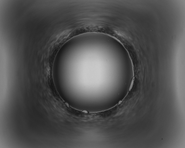 X0000086741061200704131124