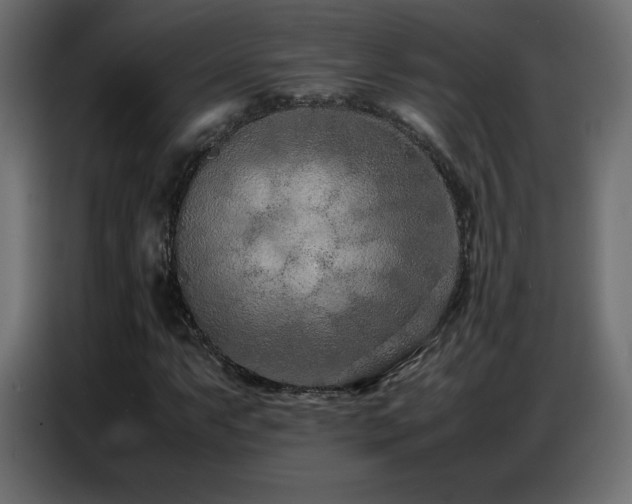 X0000086741063200704131124