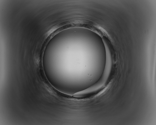X0000086741065200704131124