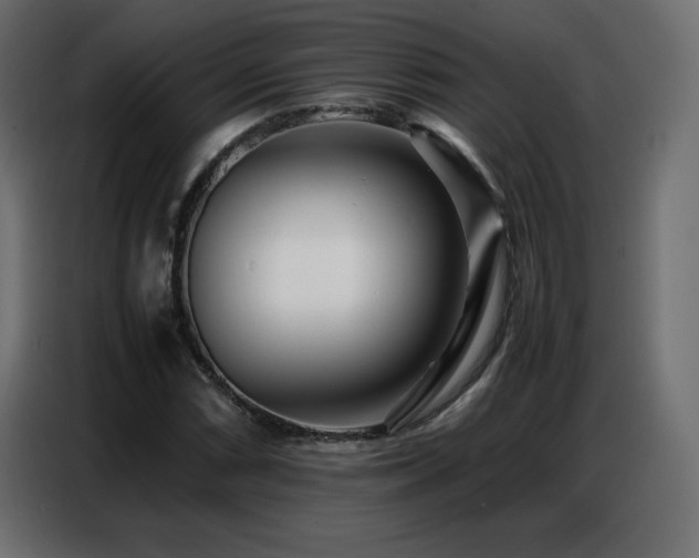 X0000086741066200704131124